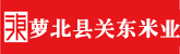亚洲大屌插骚逼视频